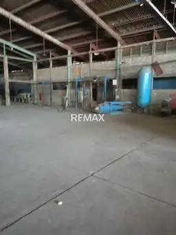 Vista 4