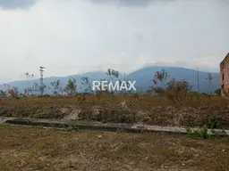 View 1
