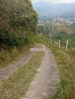 View 6
