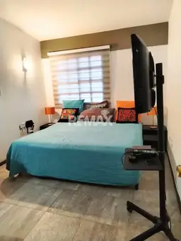 Vista 13