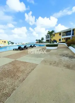 Vista 19