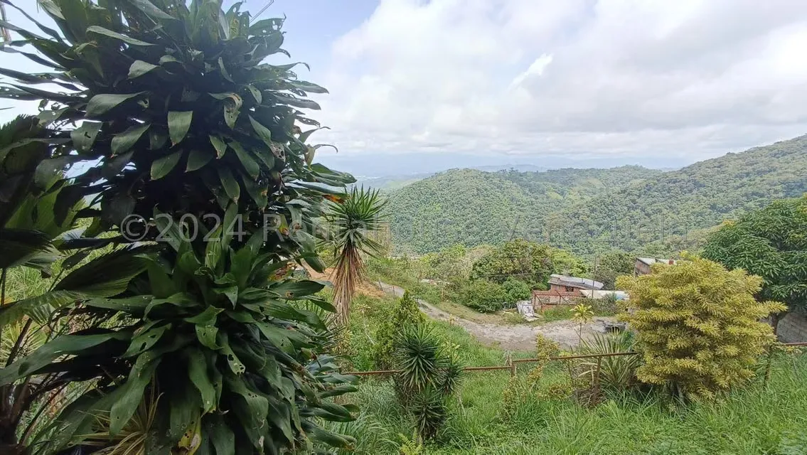 Terreno (Residencial) en Venta en Monte Claro, Distrito Metropolitano - 21
