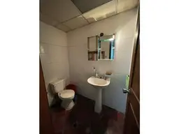 Vista 18