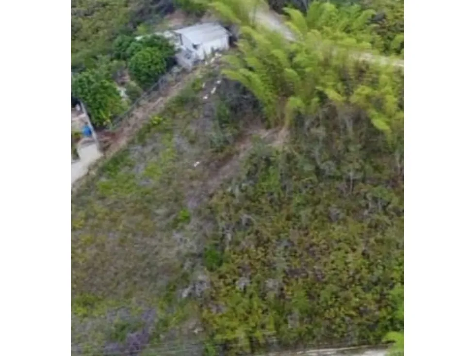 ORIPOTO Vendo Terreno 2000m2 (MOGO) - 4