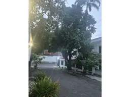 View 5