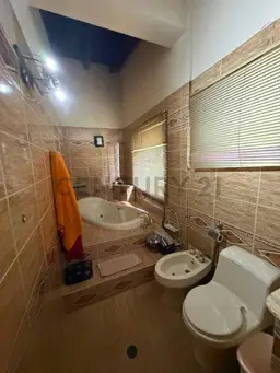 Vista 11
