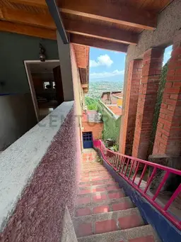 Vista 19