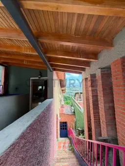 Vista 24