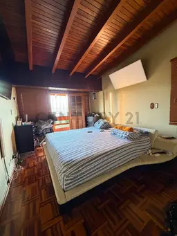 Vista 6