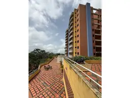 Vista 14