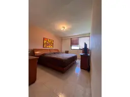 Vista 11