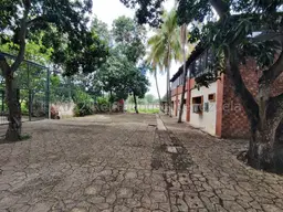 Vista 36