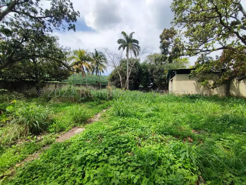 Casa (1 Nivel) en Venta en Sector El Saman, Aragua - 38