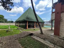 Vista 41