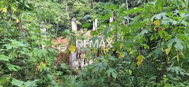 Terreno en venta en Los Robles - 3