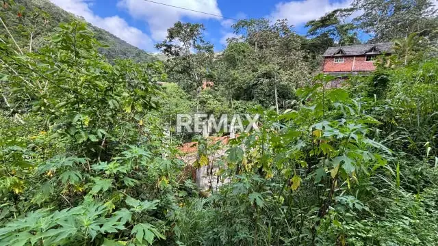 Terreno en venta en Los Robles - 5