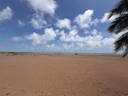 Vista 15