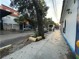 Vista 1