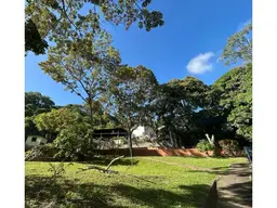 View 29