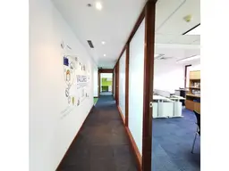 Vista 15