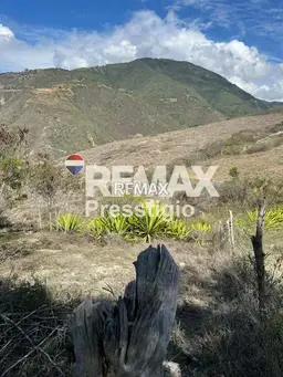 Vista 7