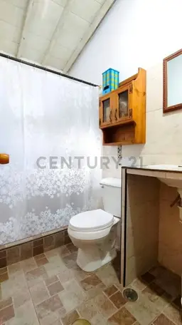 Vista 12