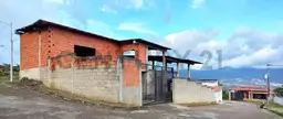Vista 19