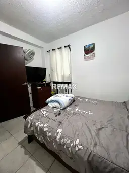 Vista 6