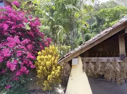 Vista 6