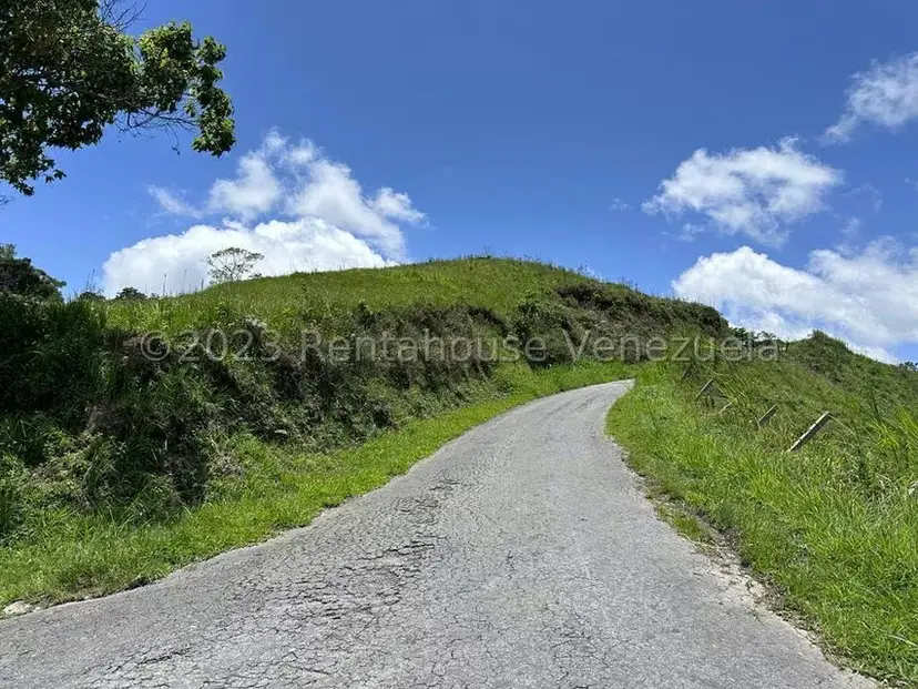 Terreno (Residencial) en Venta en El Limon, Miranda