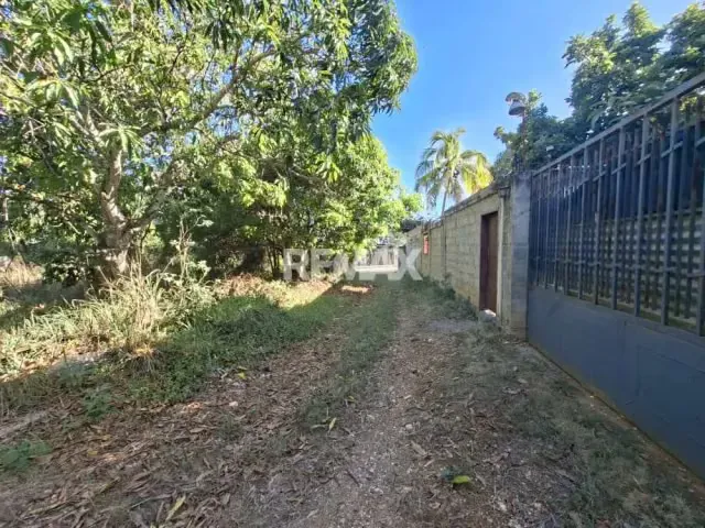 En venta parcela con bienhechurías ubicada en agua viva - 2