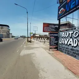 View 14