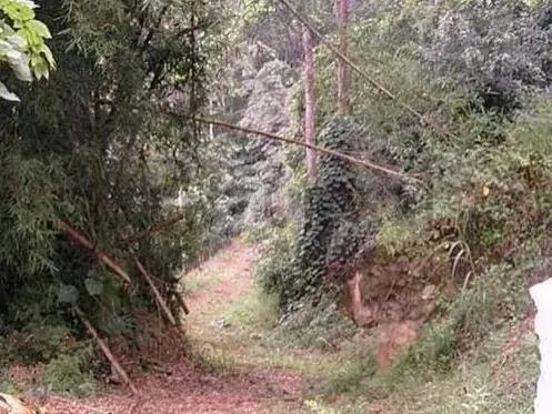 Monte Elena terreno Parcela en venta listo para su construcción Mun Baruta - 4