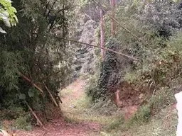 Vista 4