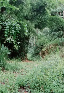 Vista 7