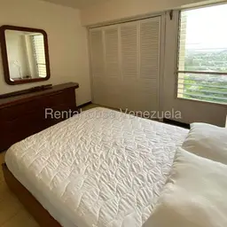 Vista 19