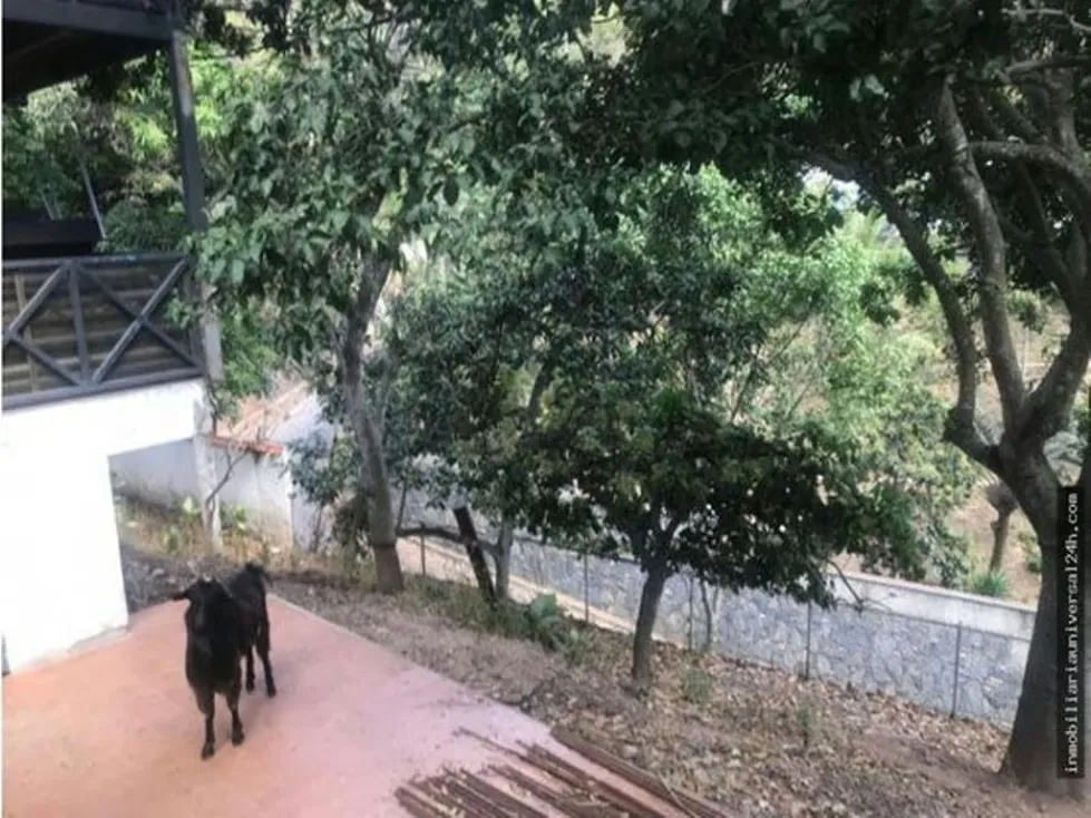 Se vende terreno c/ bienhechuria 2900m2 Los Campitos 1438 - 12