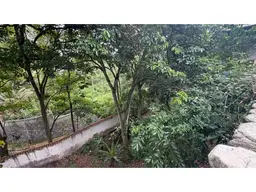 Vista 9