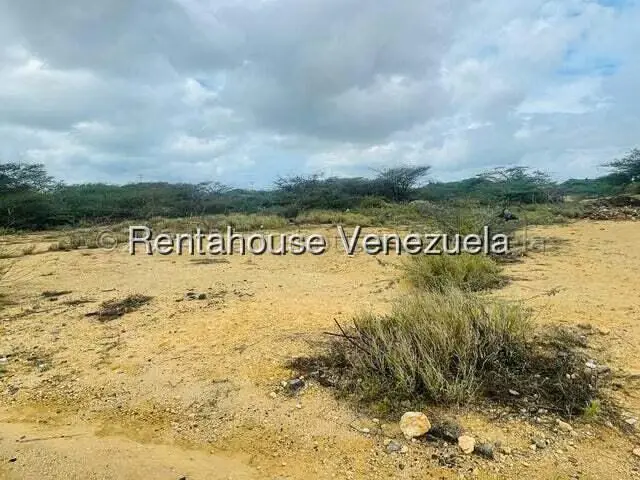 Terreno (Comercial) en Venta en Guanadito, Falcon
