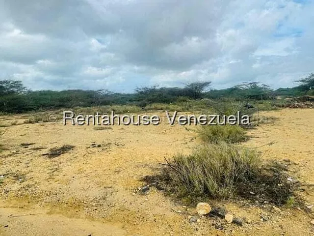 Terreno (Comercial) en Venta en Guanadito, Falcon - 4