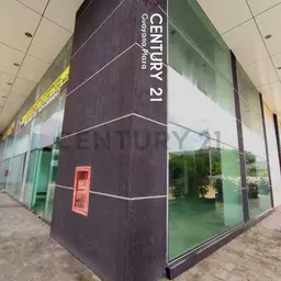 Vista 5