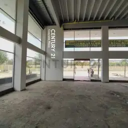 Vista 9