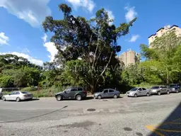 Vista 17