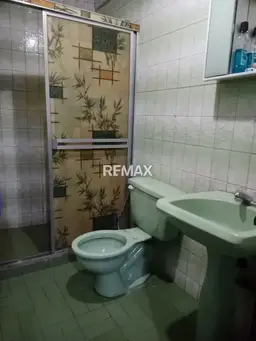 Vista 4