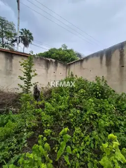 View 5