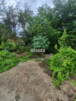 View 6
