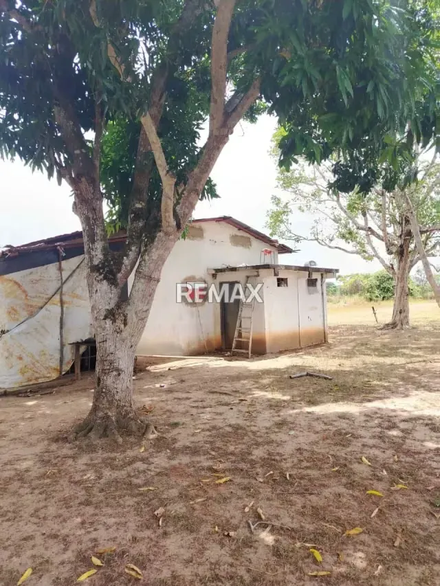 Ofrece en venta terreno en el Sector Orocual, via la Toscana del Estado Monagas - 3