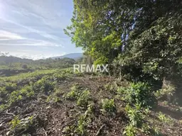 Vista 3