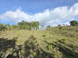 Vista 4