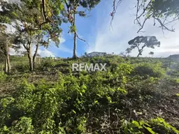 Vista 5